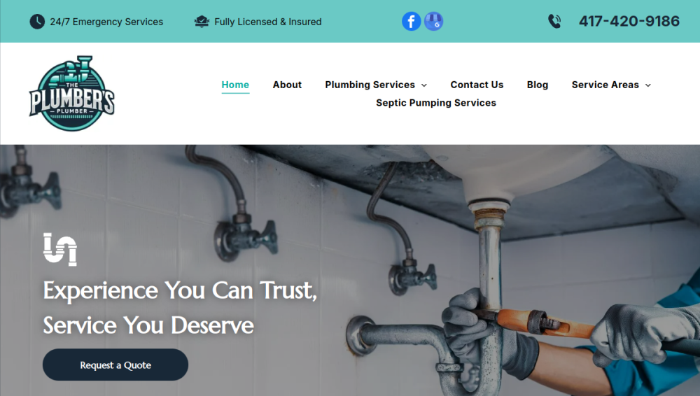 Website screenshot of The Plumber's Plumber