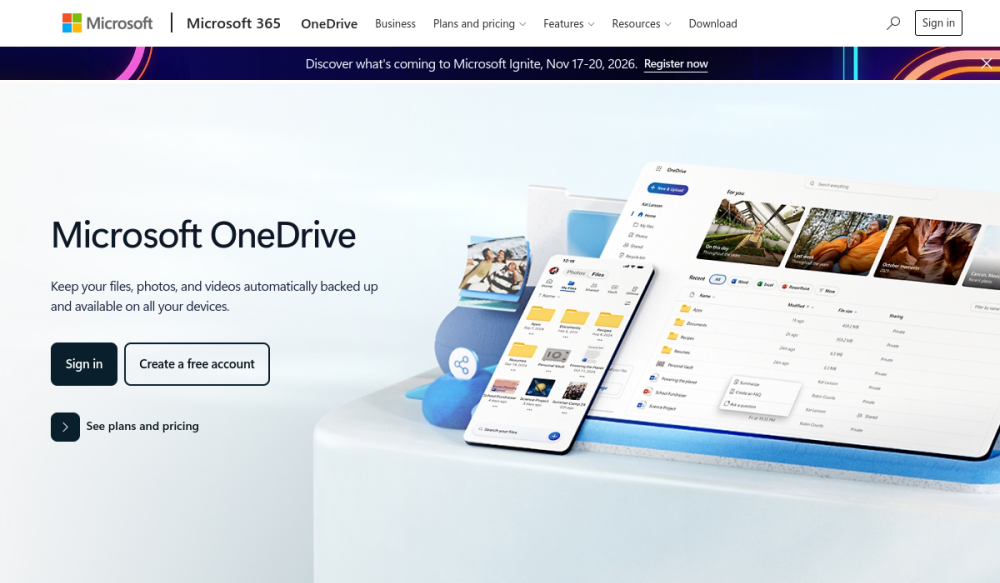 OneDrive 网站快照