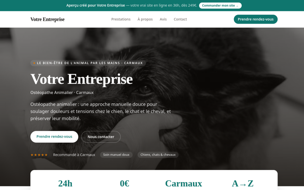 Agence digitale pour ostéopathe animalier à Carmaux — création de site internet ostéopathe animalier à Carmaux
