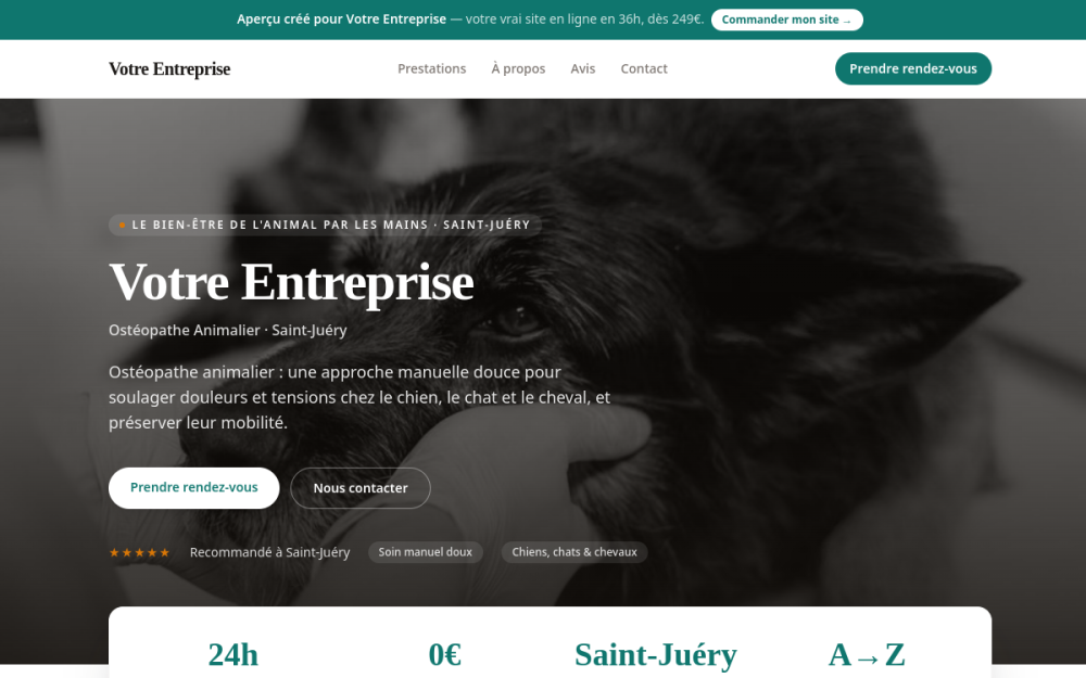 Agence digitale pour ostéopathe animalier à Saint-Juéry — création de site internet ostéopathe animalier à Saint-Juéry