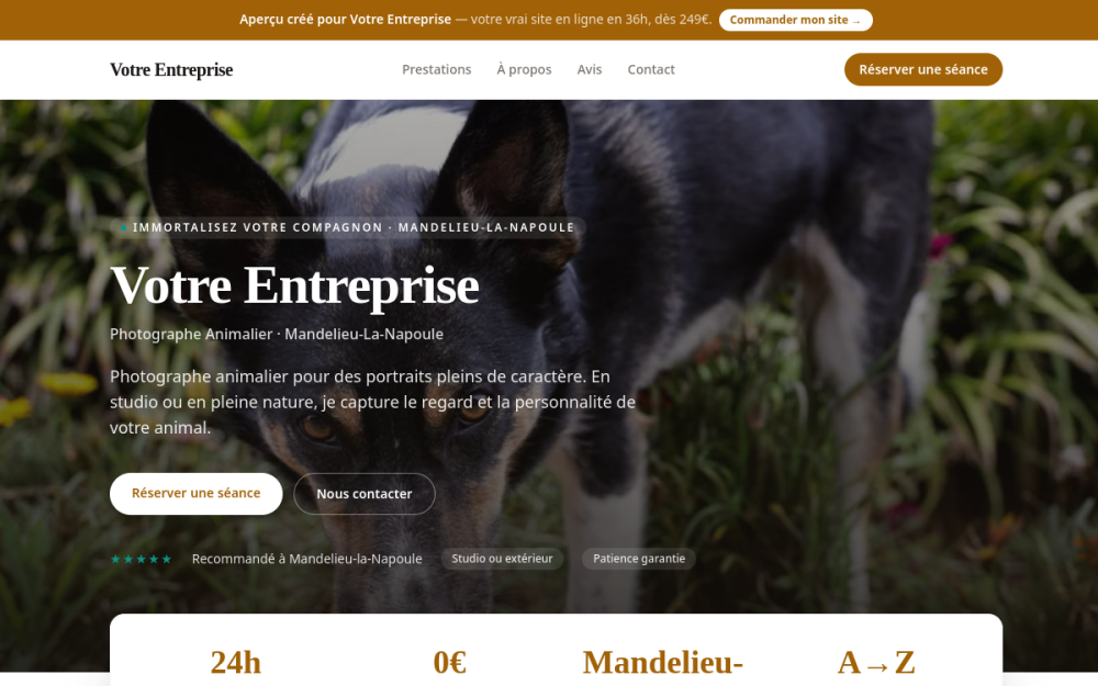 Agence digitale pour photographe animalier à Mandelieu-la-Napoule — création de site internet photographe animalier à Mandelieu-la-Napoule