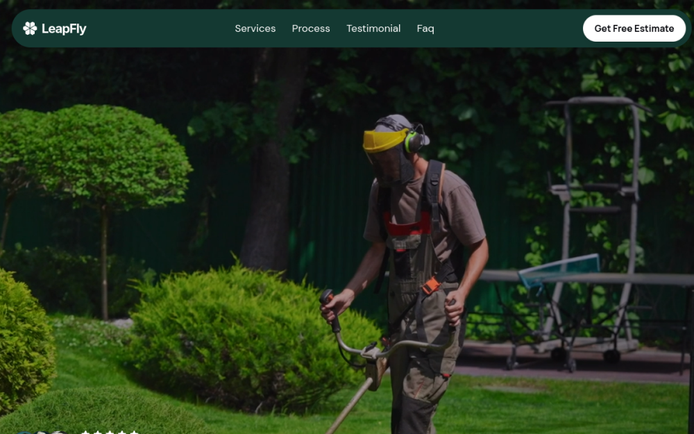 LeapFly website preview