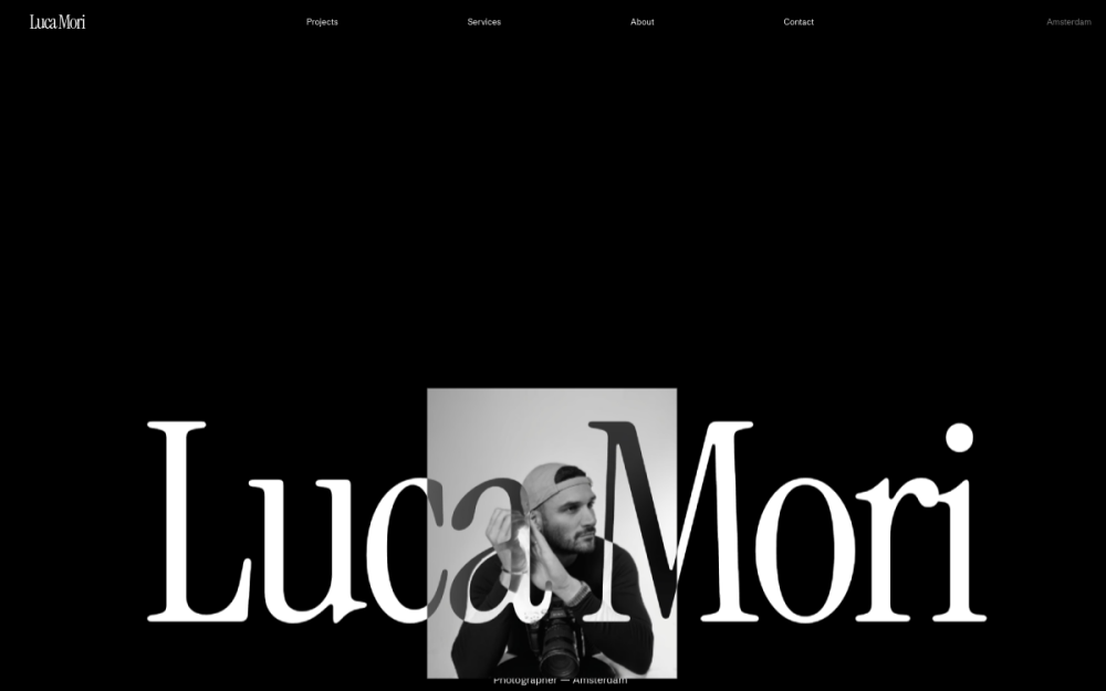 Luna Frame Studio website preview