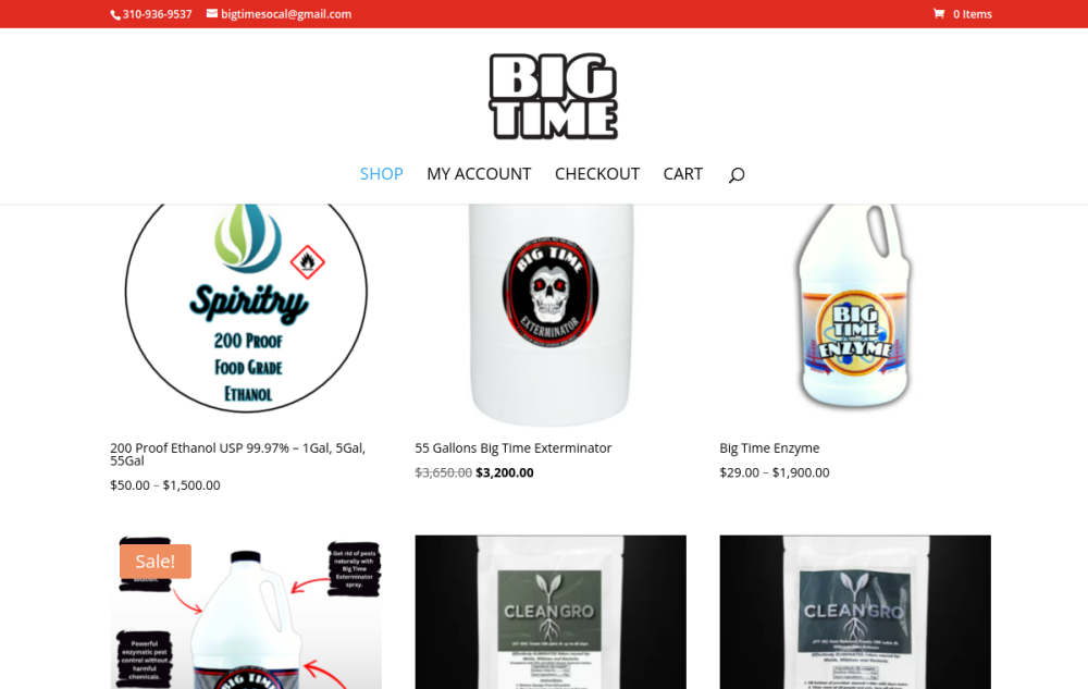 Big Time Zyme website preview