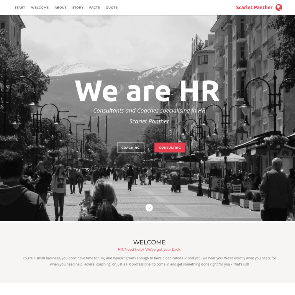 Scarlet Panther website — HR consultancy for small businesses