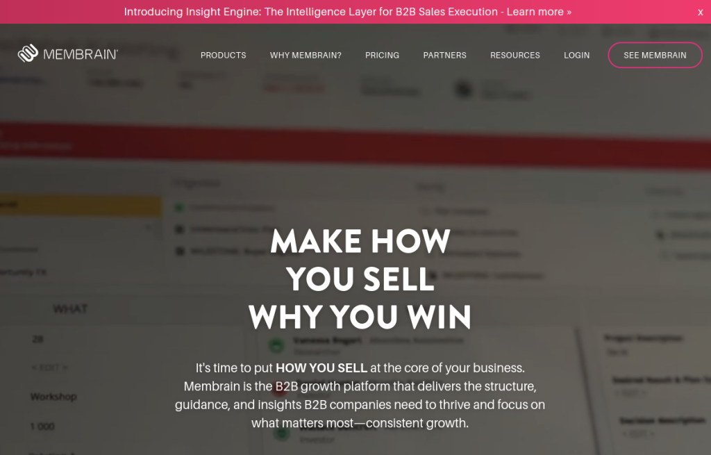 Interfaz de Membrain