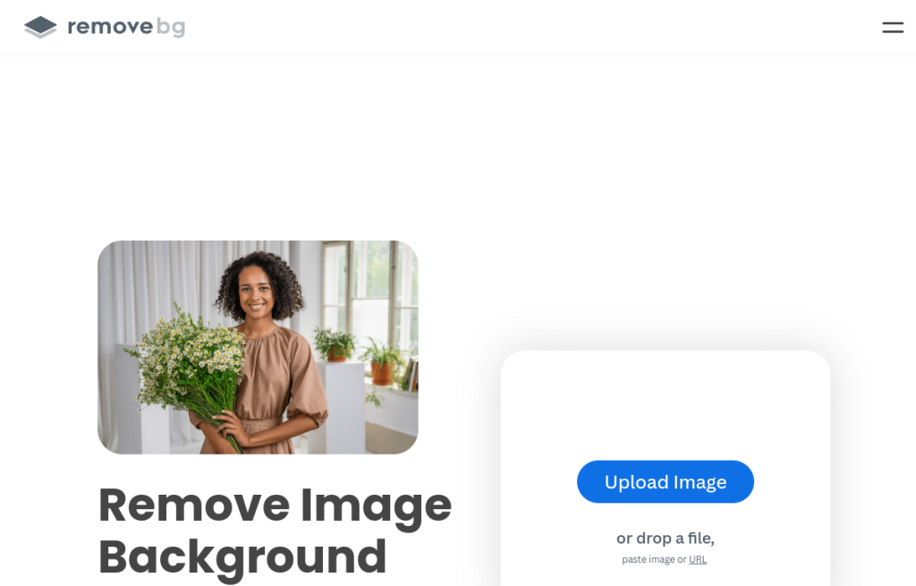 Interfaz de Remove.bg