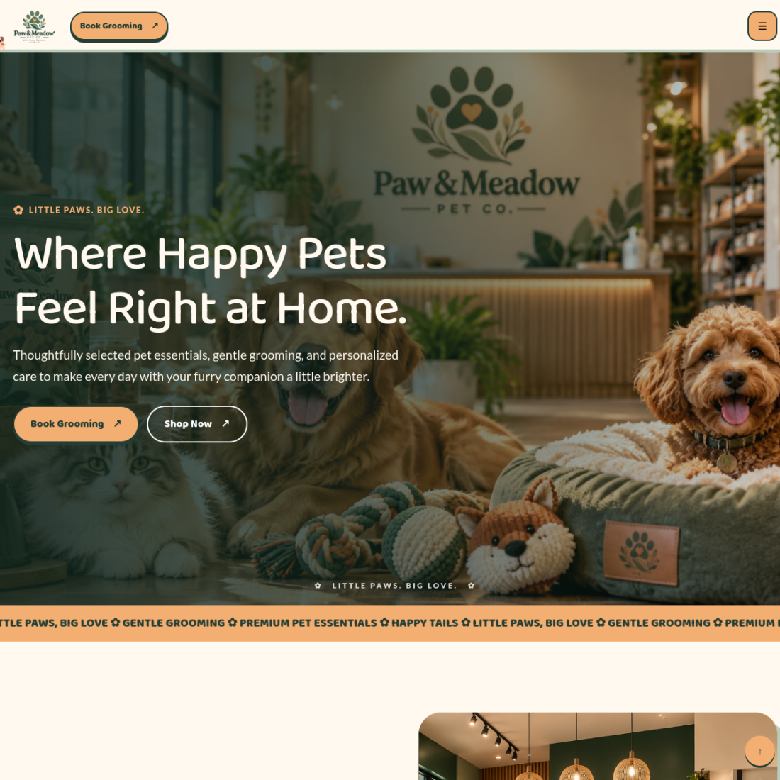 Screenshot of Paw and Meadow Pet Co