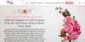 site preview
