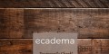 Online Professional Trainer | ecadema