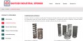site preview