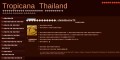 site preview
