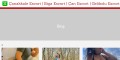 site preview
