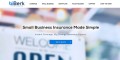 biBerk Insurance Services, Inc.