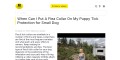 site preview