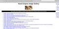 E-Hand Image Gallery and case presentations