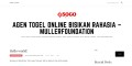 ME Müller Foundation  -  Spain