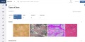 OrthoBullets Basic Science Section