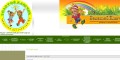 site preview