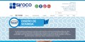 site preview