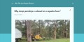 site preview