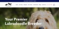 All About The Doodles | Labradoodle Puppies for Sale in Illinois