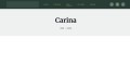 site preview