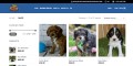site preview