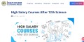 site preview
