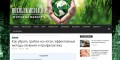 Свечи Залаин - руководство по применению и отклики заказчиков