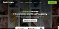 Shopify and Shopify Plus agency