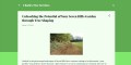 Unleashing the Potential of Your Seven Hills Garden through Tree Shaping