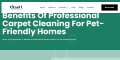 Benefits of Professional Carpet Cleaning for Pet-Friendly Homes