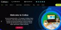 Cotlas Web Solution - Web Design & Development
