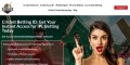Cricket IPL Betting – Best Site for Online Cricket & IPL Betting IDs