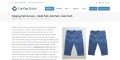 site preview