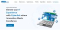 site preview