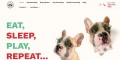 Premier Dog Hotel, Day Care & Grooming in Miami, FL
