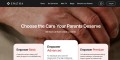 Home Care Nursing Services