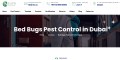 Bed bugs pest control dubai