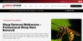 Wasp Removal Melbourne