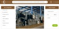 Premium Animal Feed Ingredients Supplier in Asia