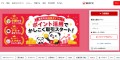 site preview