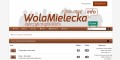 site preview