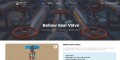 Bellow seal valve