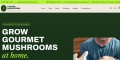 Foxfire Mushrooms | Cultivation Supplies & Fresh Mushrooms