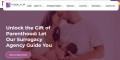 Global Star Surrogacy Agency In USA