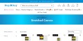 site preview