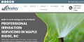site preview