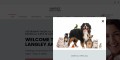 site preview